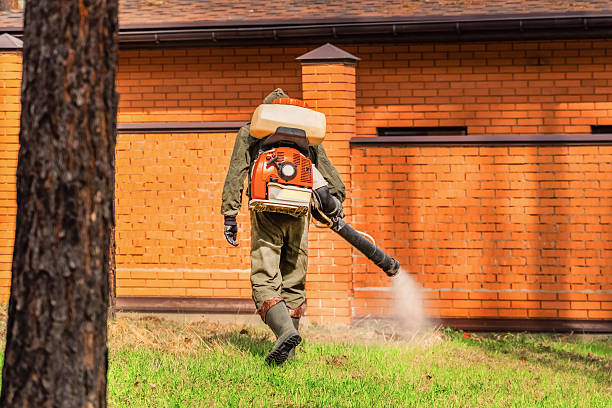 Trusted Cockroach Control service in Thousand Oaks, CA - Nex Pest Control